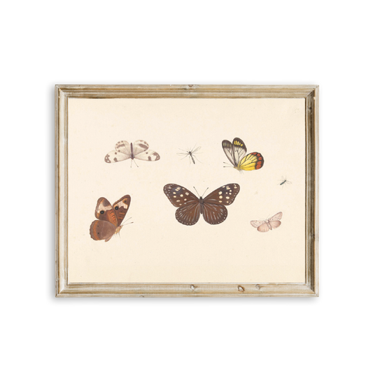 Butterflies Vintage Art Print