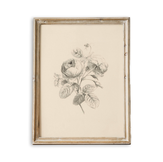 Floral Antique Vintage Art Print