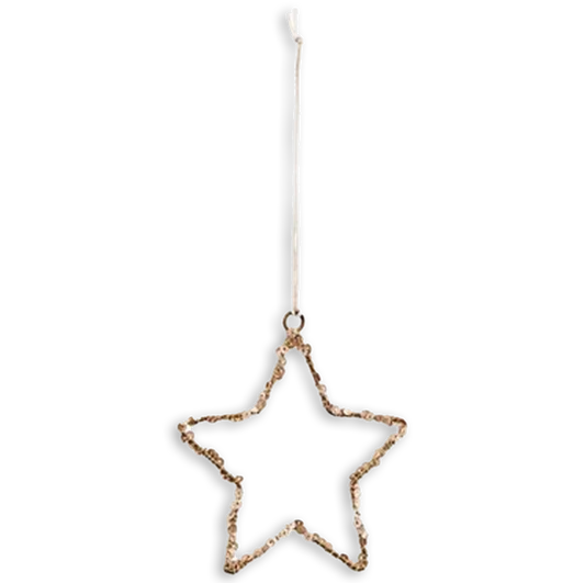 Star Ornament